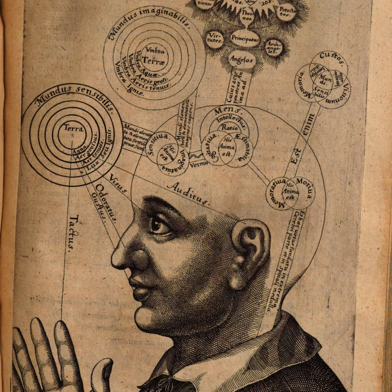 Human head as microcosm mapping mental faculties, from Fludd's History of the Microcosm, 1619