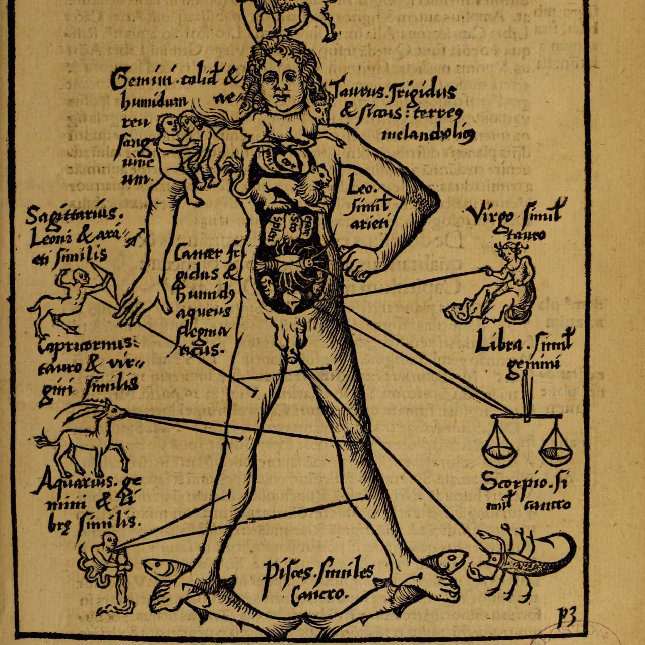 Zodiac Man from a medieval astrological manuscript