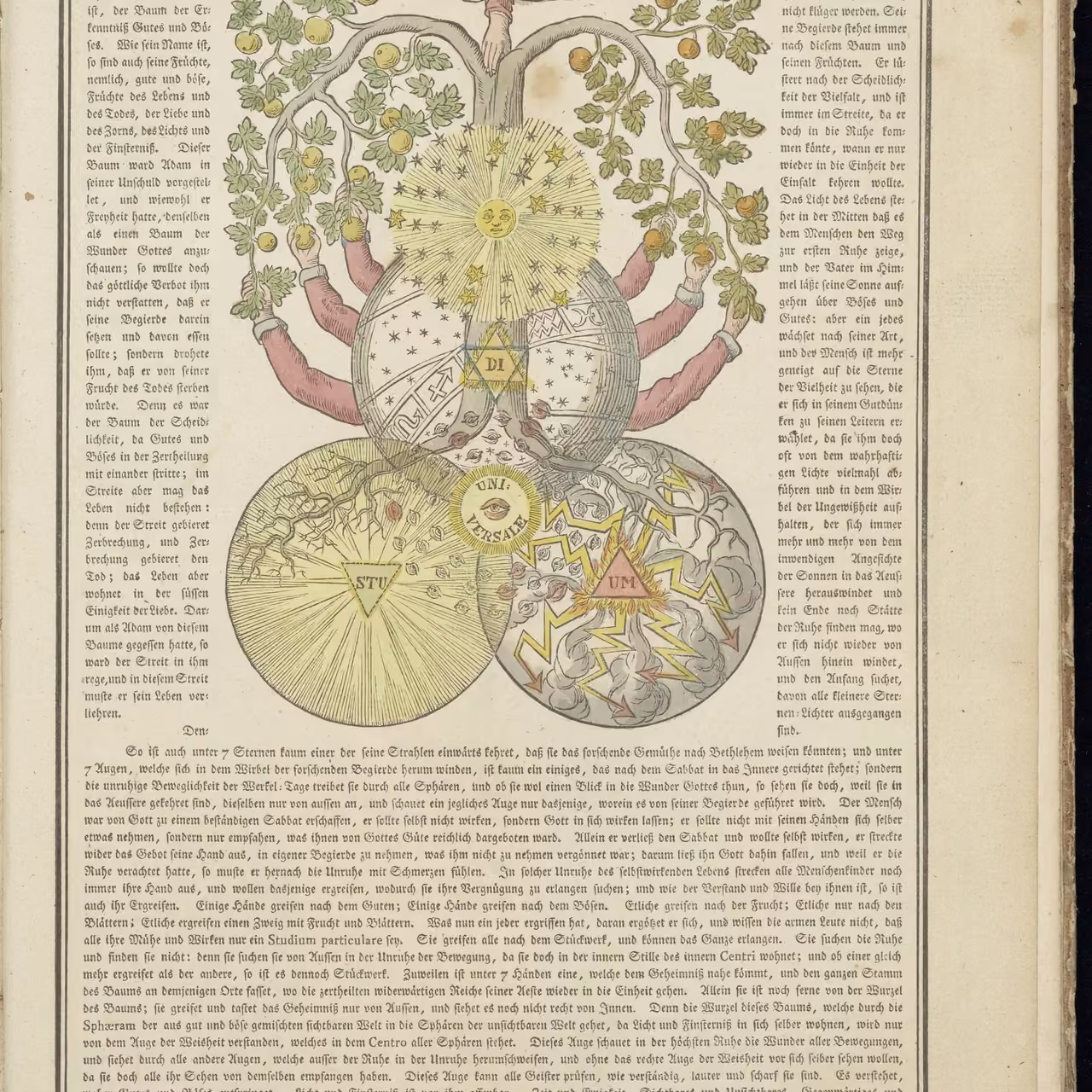 Tree of Knowledge of Good and Evil from Secret Symbols of the Rosicrucians, 1785