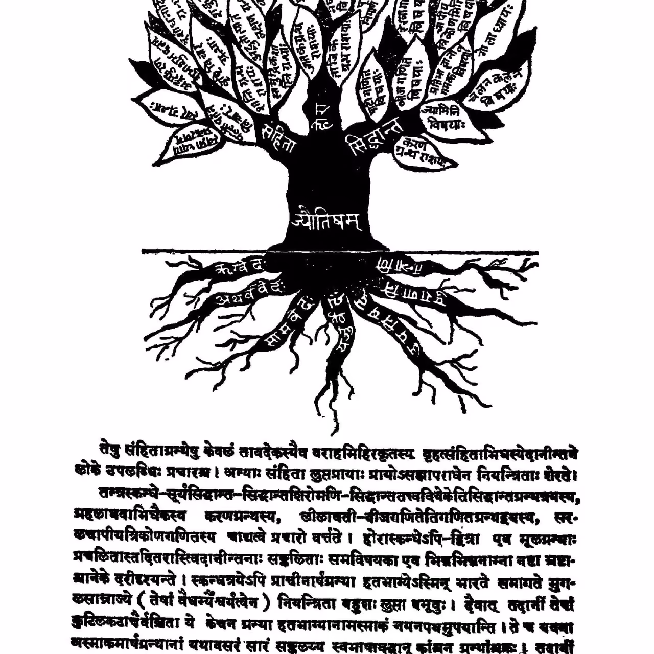Jyotisha classification tree in Sanskrit from the Celestial Tree of Natal Astrology