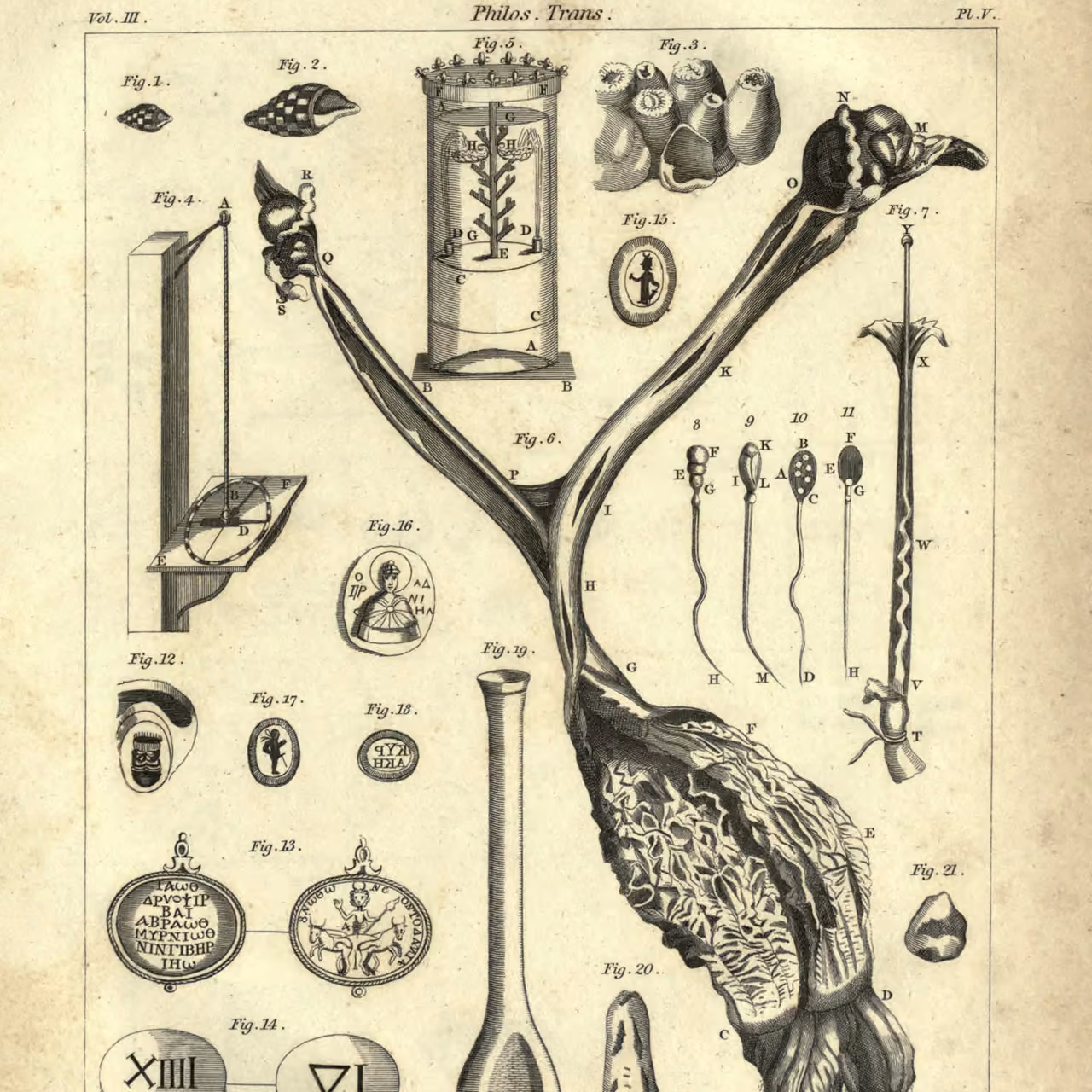 Scientific plate from Philosophical Transactions of the Royal Society, 1694